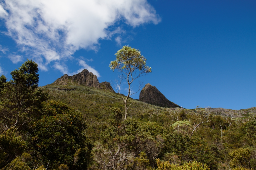 20 - Cradle Montain NP (12).jpg